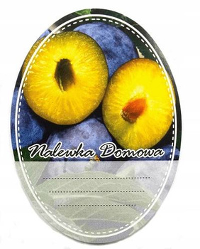 Etykieta naklejka na butelkę Śliwka Nalewka Domowa owalna 10x sztuk 60x80mm