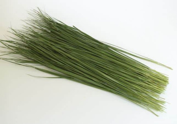 Zaprawka Trawa Żubrówka Turówka porcja do alkoholu na 5-8L żubrówki