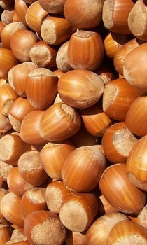 Zaprawka Esencja Orzech Laskowy na 10-15L alkoholu