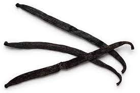 WANILIA Laska Wanilii 1 szt 10-14cm przyprawa aromatyczna Laska Wanilii I klasa do nalewek