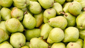 Zaprawka do alkoholu esencja smak Gruszka 5L kanister  Gruszkowa