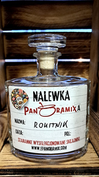 Rokitnik Nalewka Panoramixa DIY Gotowy zestaw do zrobienia domowej nalewki Karafka 0,7L Butelka 700 ml Wyselekcjonowanie składniki