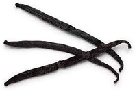 WANILIA Laska Wanilii 1 szt 10-14cm przyprawa aromatyczna Laska Wanilii I klasa do nalewek